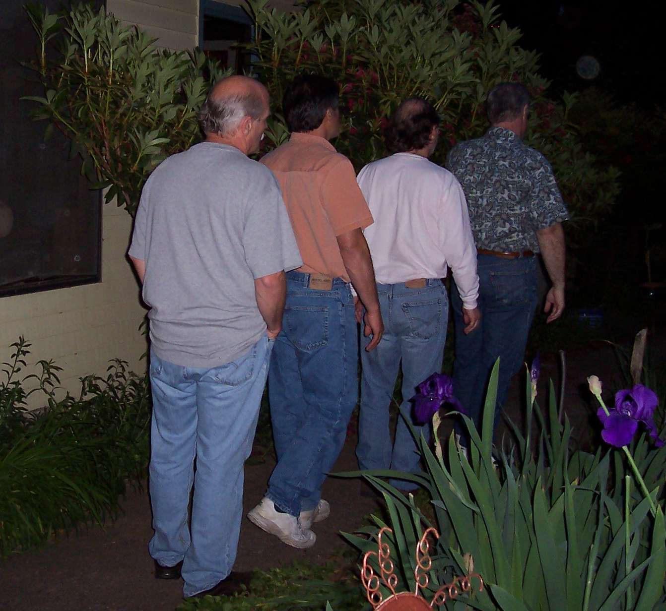 aphasia's-back(a).JPG (146361 bytes)